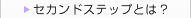 �Z�J���h�X�e�b�v�Ƃ́H